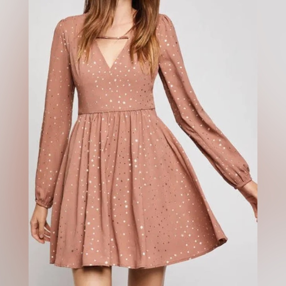 BCBGeneration Flowy Pink Fit and Flare Dress with Bishop Sleeves